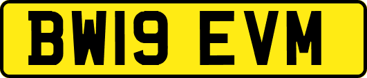 BW19EVM