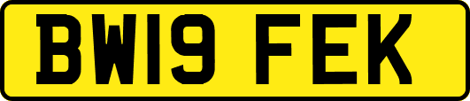 BW19FEK