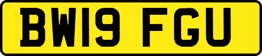 BW19FGU