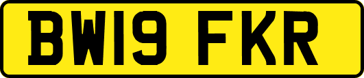 BW19FKR
