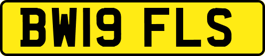 BW19FLS