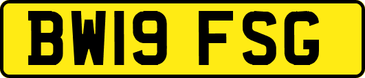 BW19FSG