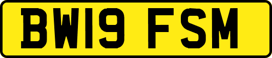 BW19FSM