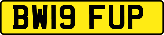 BW19FUP