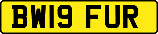 BW19FUR