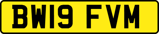 BW19FVM