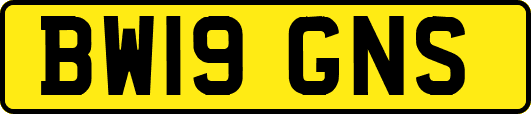 BW19GNS