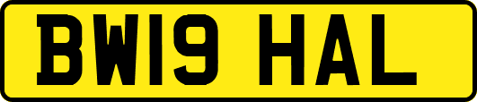 BW19HAL