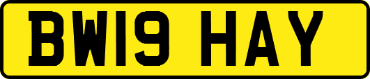 BW19HAY
