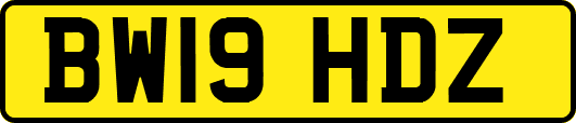 BW19HDZ