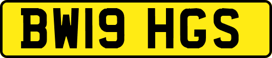 BW19HGS