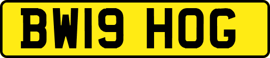 BW19HOG