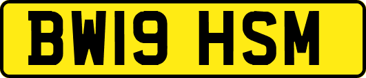 BW19HSM