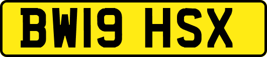 BW19HSX