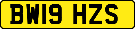 BW19HZS
