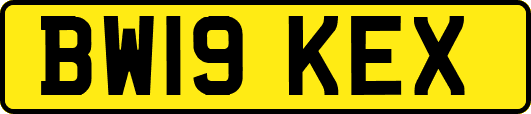BW19KEX