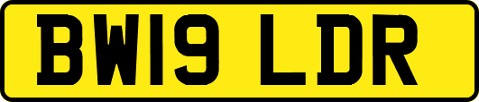 BW19LDR