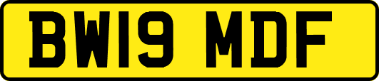 BW19MDF