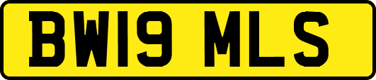 BW19MLS