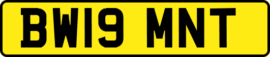 BW19MNT