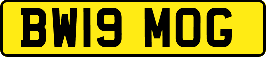 BW19MOG