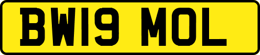 BW19MOL