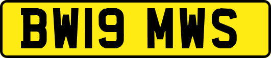 BW19MWS