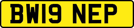 BW19NEP