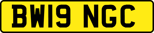 BW19NGC