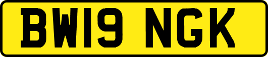 BW19NGK