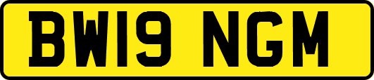 BW19NGM