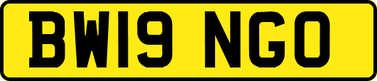 BW19NGO
