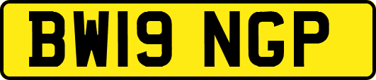 BW19NGP
