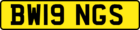 BW19NGS