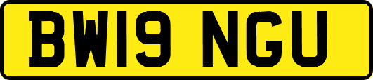 BW19NGU