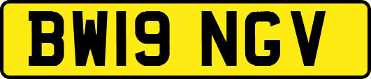 BW19NGV