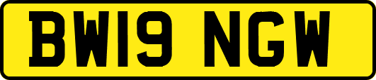 BW19NGW