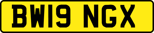 BW19NGX