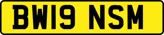 BW19NSM