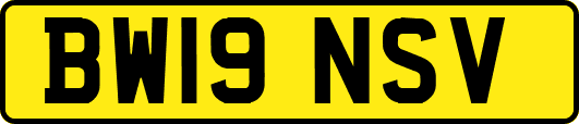 BW19NSV