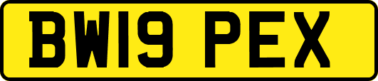 BW19PEX