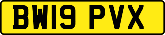 BW19PVX