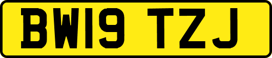 BW19TZJ