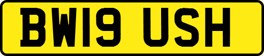 BW19USH