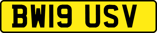 BW19USV