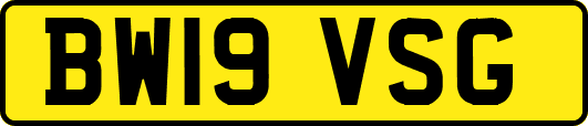 BW19VSG