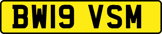 BW19VSM