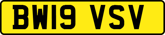 BW19VSV