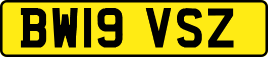 BW19VSZ