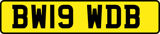 BW19WDB
